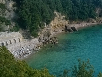 immagine articolo