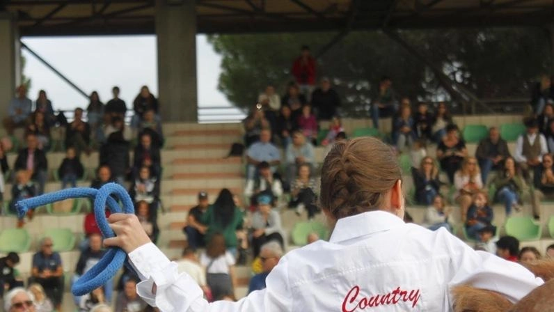 Tribune sempre affollate nei tre giorni del festival per seguire gli spettacoli equestri e anche una rappresentazione teatrale in programma la domenica Tribune sempre affollate nei tre giorni del festival per seguire gli spettacoli equestri e anche una rappresentazione teatrale in programma la domenica