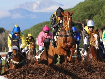 immagine articolo