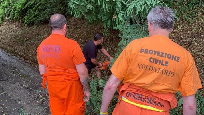 La protezione civile svolge un ruolo fondamentale nel comune di Massarosa avvalendosi dell’opera dei volontari La protezione civile svolge un ruolo fondamentale nel comune di Massarosa avvalendosi dell’opera dei volontari