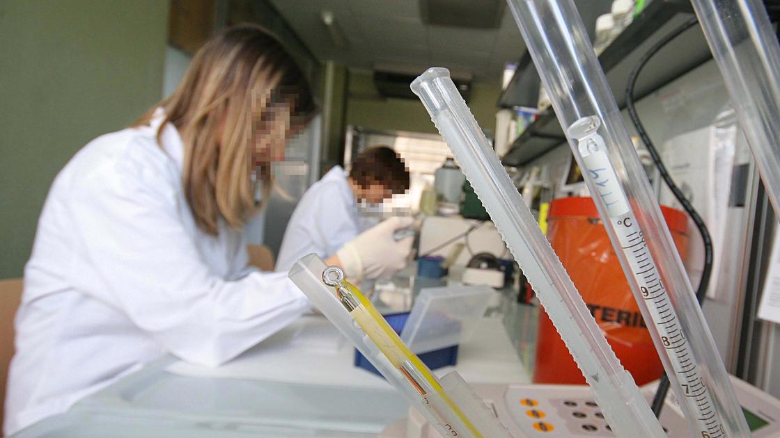 Palpeggia le colleghe in azienda, operaio licenziato fa ricorso Palpeggia le colleghe in azienda, operaio licenziato fa ricorso