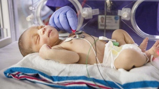 Nella foto d’archivio un neonato all’interno della culla termica