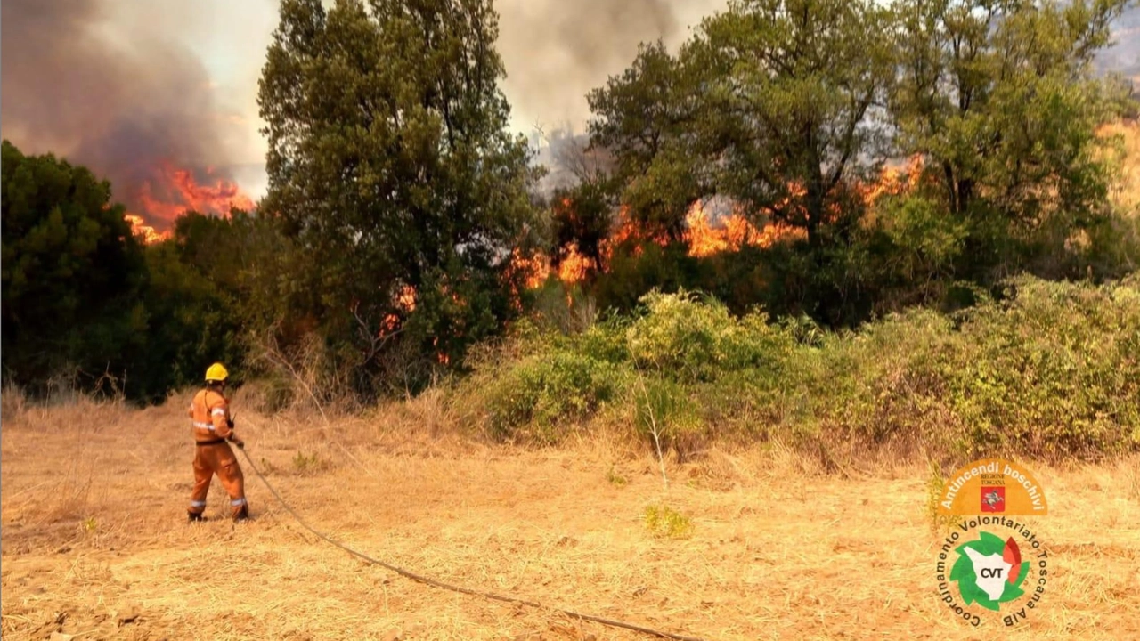 L'incendio scoppiato nel grossetano, nella zona di Scansano