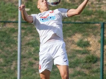 immagine articolo