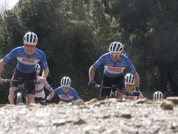 immagine articolo