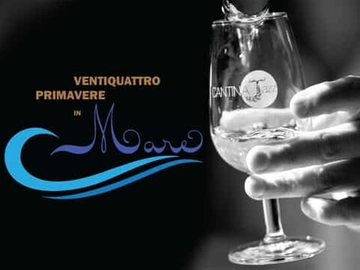 immagine articolo
