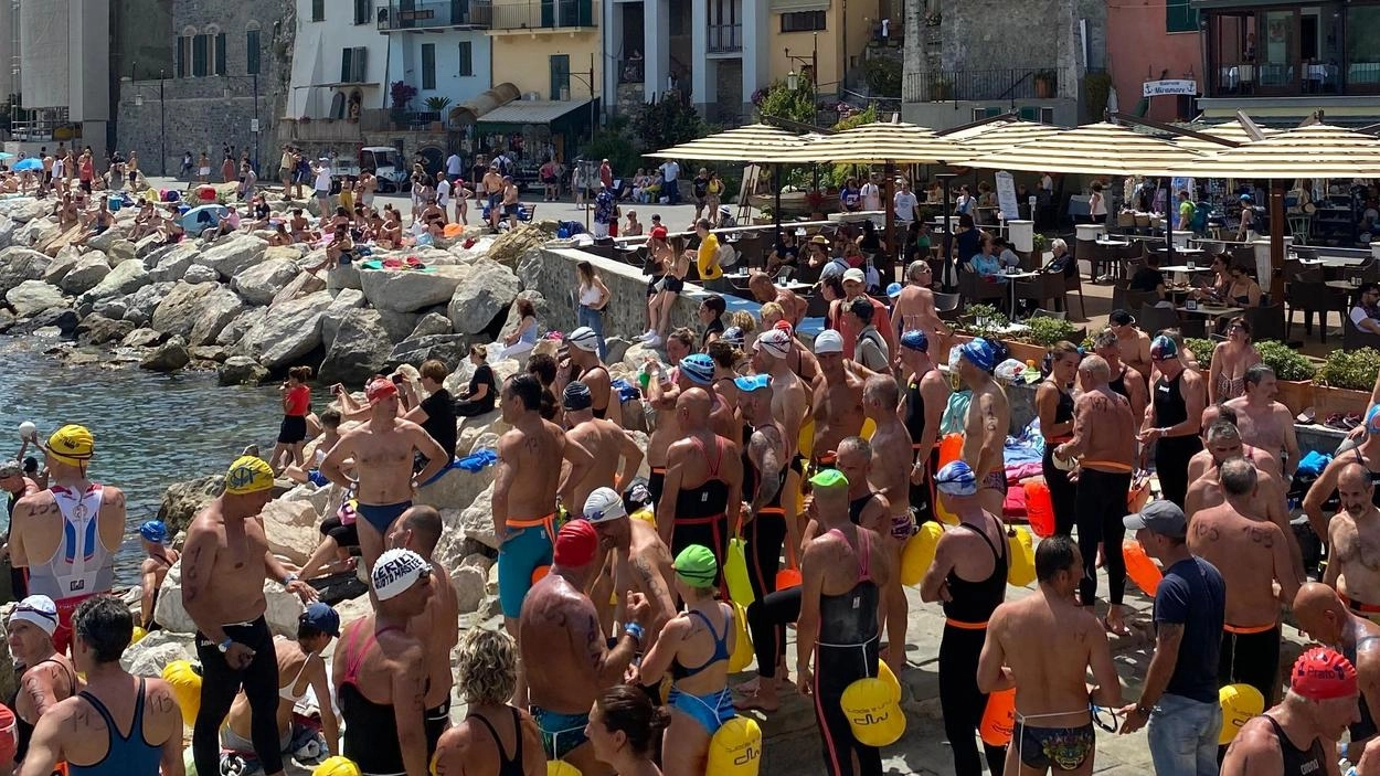 Stelle al Palmaria Island