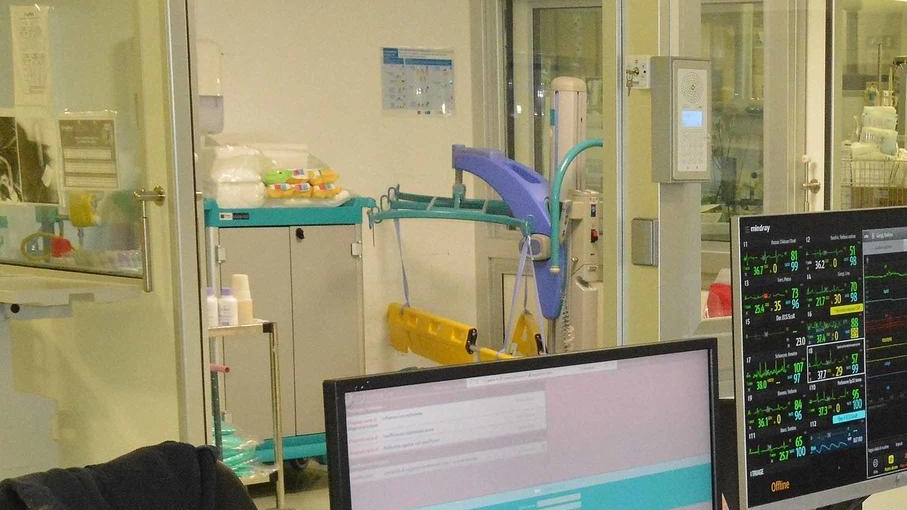Rinforzi in sanità aretina: 33 nuovi infermieri in provincia di Arezzo Rinforzi in sanità aretina: 33 nuovi infermieri in provincia di Arezzo
