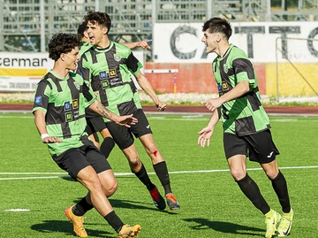 immagine articolo