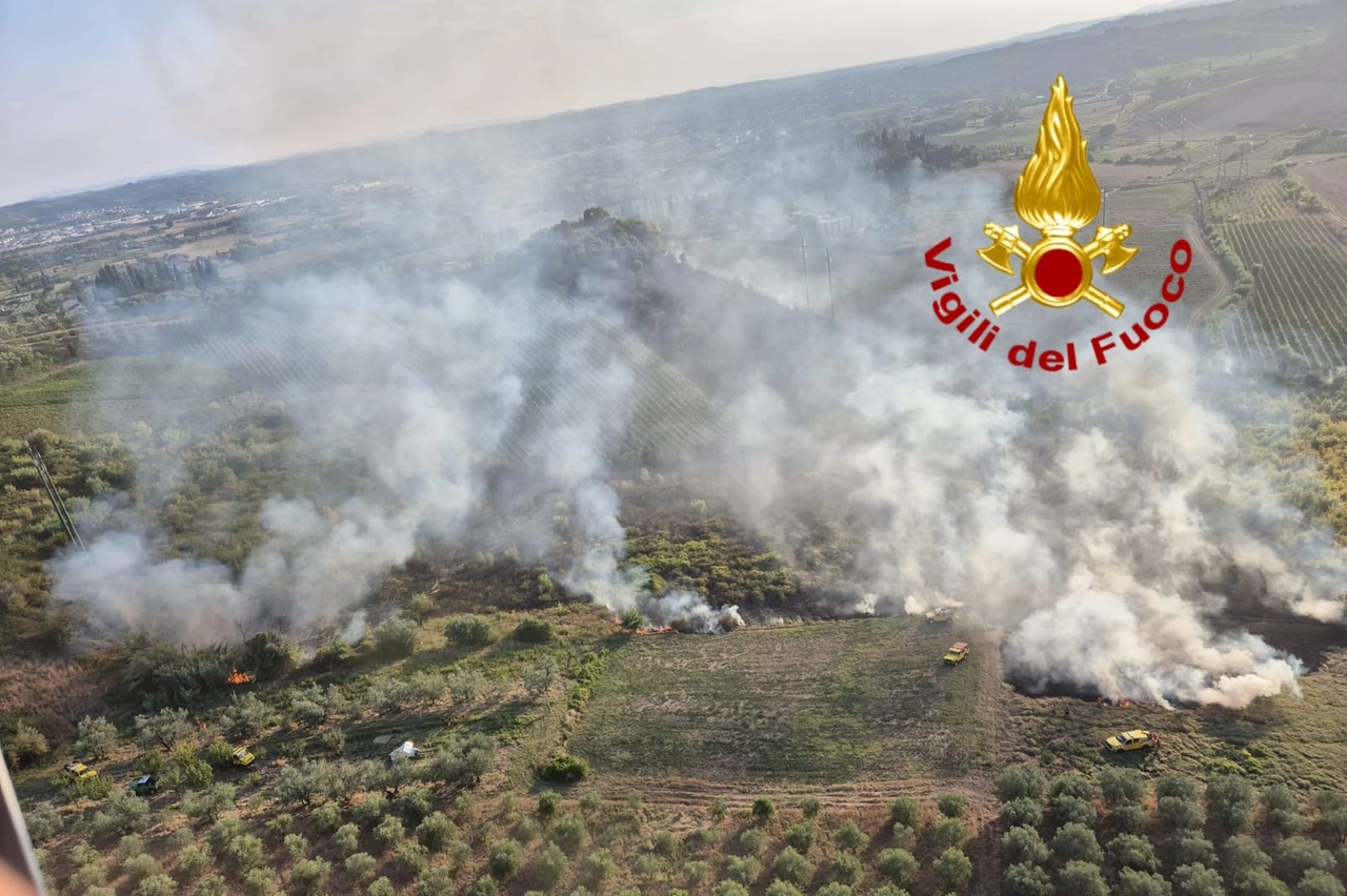Incendio di sterpaglie a Vinci