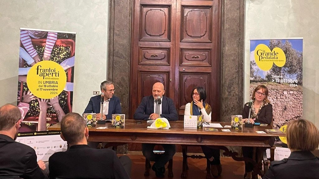 Bravi, Morbidoni, Tabarrini e Zaroli Bravi, Morbidoni, Tabarrini e Zaroli