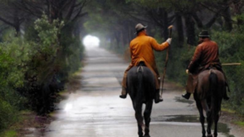 Uno scorcio della tenuta di Alberese (Foto di Alberto Pastorelli)