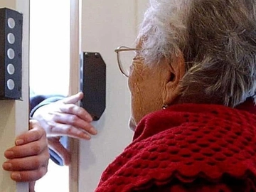 immagine articolo
