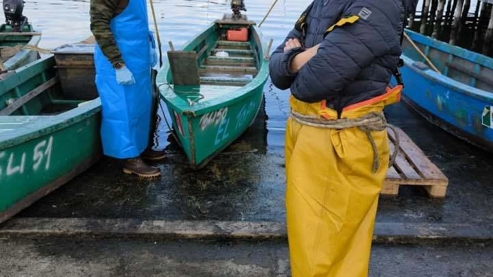 Sabato alle 11 la presentazione al Centro Degustazione dei Pescatori . Sabato alle 11 la presentazione al Centro Degustazione dei Pescatori .
