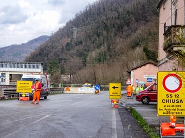 immagine articolo