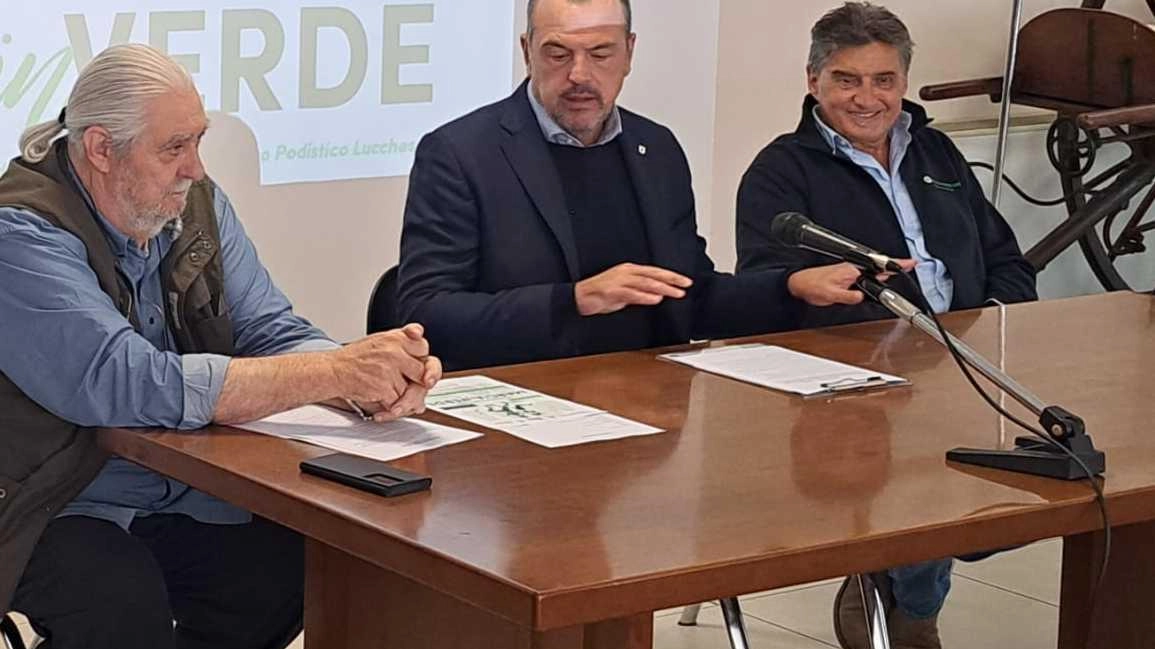 Torna la Marcia in verde a Lucca, evento non competitivo di inclusione e solidarietà organizzato dalla Croce Verde. Percorsi da 2 a 16 km, domenica 13 ottobre. Quota d'iscrizione 3-3.50 euro. Contatti per info: 347 242 2804 o 0583 467 713. Torna la Marcia in verde a Lucca, evento non competitivo di inclusione e solidarietà organizzato dalla Croce Verde. Percorsi da 2 a 16 km, domenica 13 ottobre. Quota d'iscrizione 3-3.50 euro. Contatti per info: 347 242 2804 o 0583 467 713.