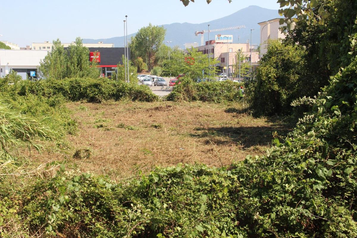 Cresce il Parco Europa. Al via il secondo lotto. Area verde e laghetto: "Maxi polmone verde" Cresce il Parco Europa. Al via il secondo lotto. Area verde e laghetto: "Maxi polmone verde"