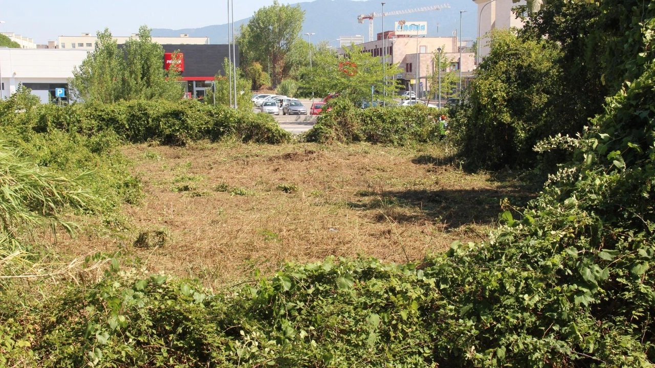 Sopralluogo del sindaco Conti: "Superficie di circa due ettari finora abbandonata da cui abbiamo escluso ogni nuova edificazione.. Vinto bando regionale per interventi di mitigazione del rischio idraulico". Sopralluogo del sindaco Conti: "Superficie di circa due ettari finora abbandonata da cui abbiamo escluso ogni nuova edificazione.. Vinto bando regionale per interventi di mitigazione del rischio idraulico".