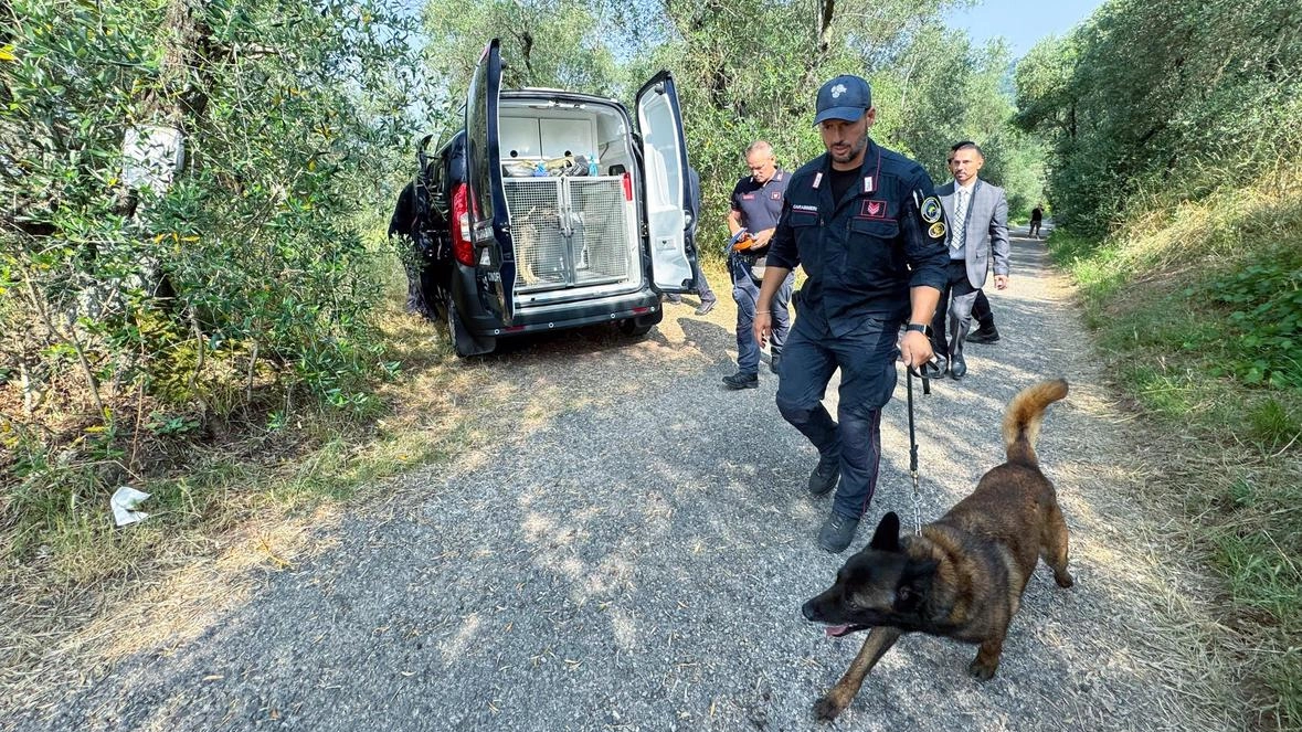 I rilievi dell’unità cinofila dei carabinieri al casolare abbandonato (Goiorani)