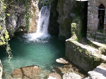 immagine articolo