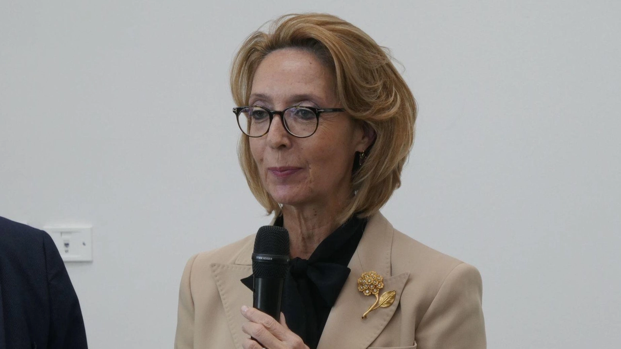 Le ispezioni coordinate dalla Prefettura nelle aziende a conduzione cinese. Diciotto lavoratori senza permesso di soggiorno e violazioni sulla sicurezza. Le ispezioni coordinate dalla Prefettura nelle aziende a conduzione cinese. Diciotto lavoratori senza permesso di soggiorno e violazioni sulla sicurezza.