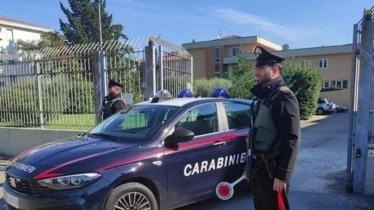 Il ladro, un 40enne, è stato arrestato dai carabinieri . Il ladro, un 40enne, è stato arrestato dai carabinieri .