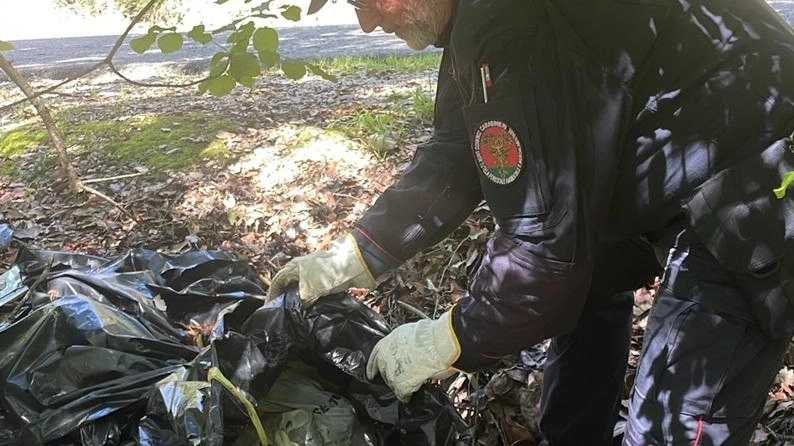 I carabinieri forestali di Amelia, durante i controlli finalizzati al contrasto e alla prevenzione dei reati a danno ambientale I carabinieri forestali di Amelia, durante i controlli finalizzati al contrasto e alla prevenzione dei reati a danno ambientale