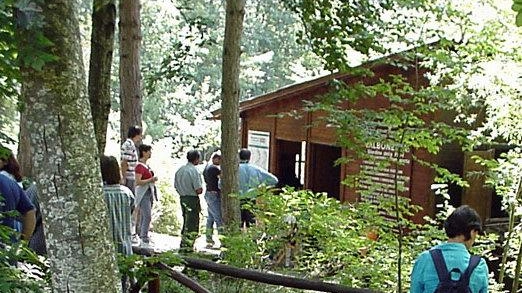 Aprono oggi le strutture didattico-informative del Parco delle Foreste casentinesi. Attraverso di esse i visitatori potranno scoprire i percorsi e tutto quello che c’è da scoprire all’interno dell’area