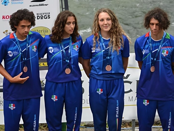 immagine articolo