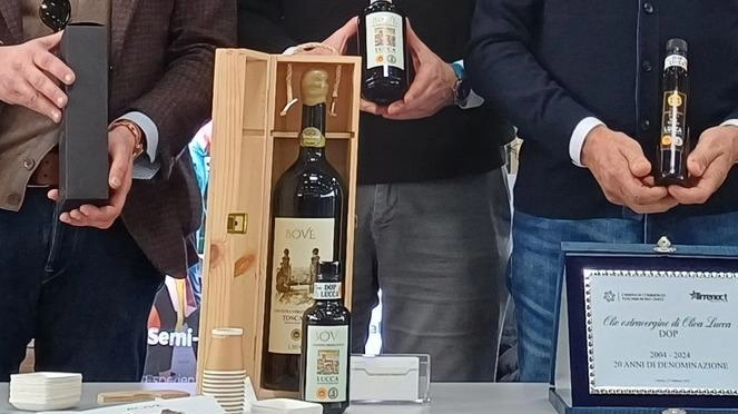 LUCCA Ieri mattina alla Tirreno CT, l’appuntamento annuale dedicato al comparto ospitalità, che si svolge a Carrara, la Camera di commercio... LUCCA Ieri mattina alla Tirreno CT, l’appuntamento annuale dedicato al comparto ospitalità, che si svolge a Carrara, la Camera di commercio...