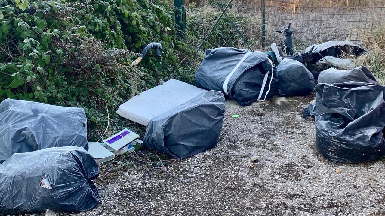 Nella zona spuntano cumuli di sacchi neri e montagne di scarti ammassati tra le aree verdi. La rabbia di Toccafondi: "Ora telecamere". E intanto Alia lancia la campagna contro gli abbandoni in città. . Nella zona spuntano cumuli di sacchi neri e montagne di scarti ammassati tra le aree verdi. La rabbia di Toccafondi: "Ora telecamere". E intanto Alia lancia la campagna contro gli abbandoni in città. .