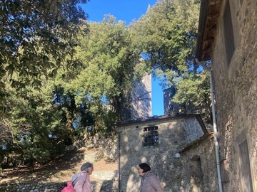 immagine articolo