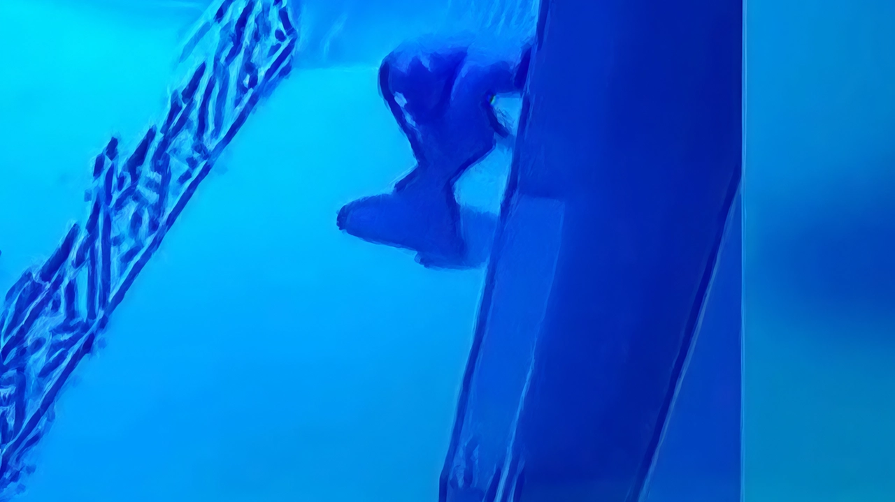 Indagini in corso per l’attentato incendiario che nella notte tra domenica e lunedì ha danneggiato il portone della caserma della... Indagini in corso per l’attentato incendiario che nella notte tra domenica e lunedì ha danneggiato il portone della caserma della...