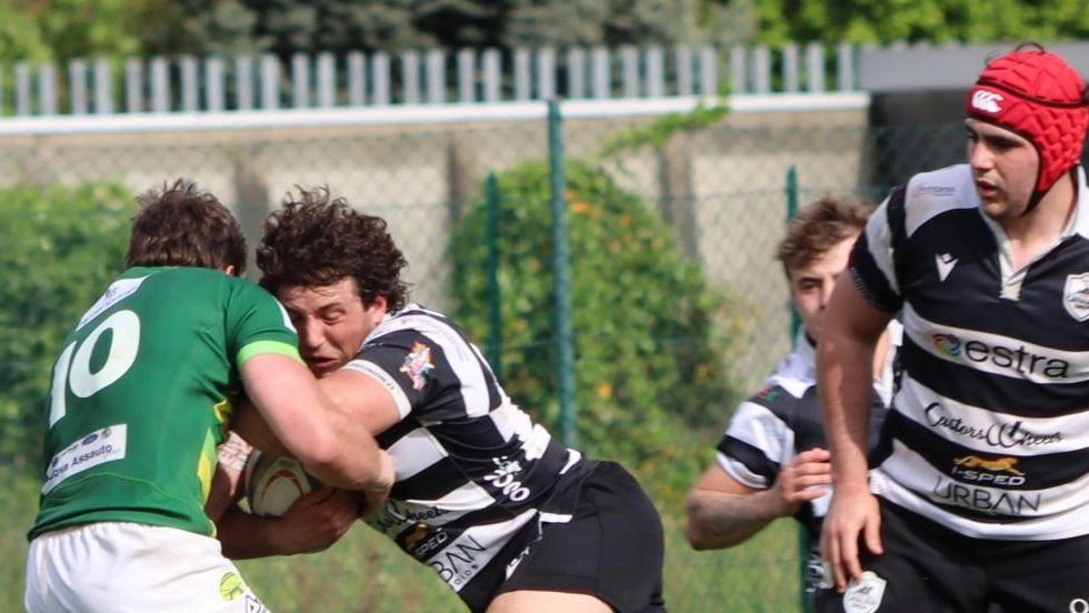 Cavalieri Union Prato: sfide e speranze per il futuro del Montano
