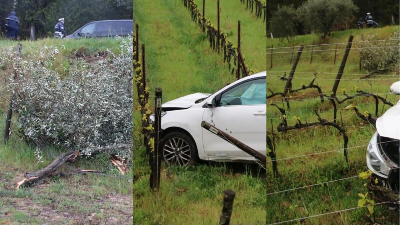 Auto esce di strada e finisce in un campo (foto Antonio Taddei)