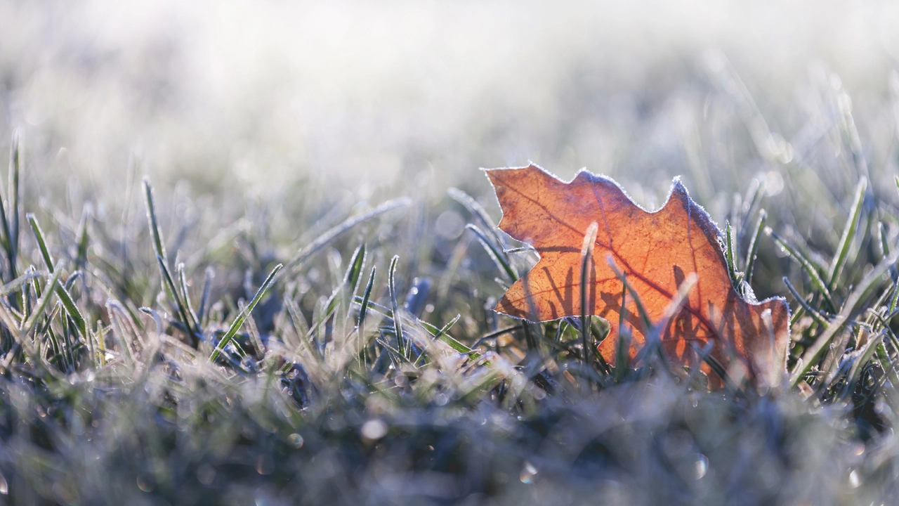 Torna il freddo, temperature in picchiata