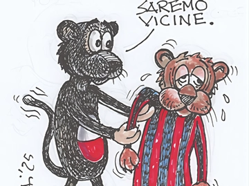 immagine articolo