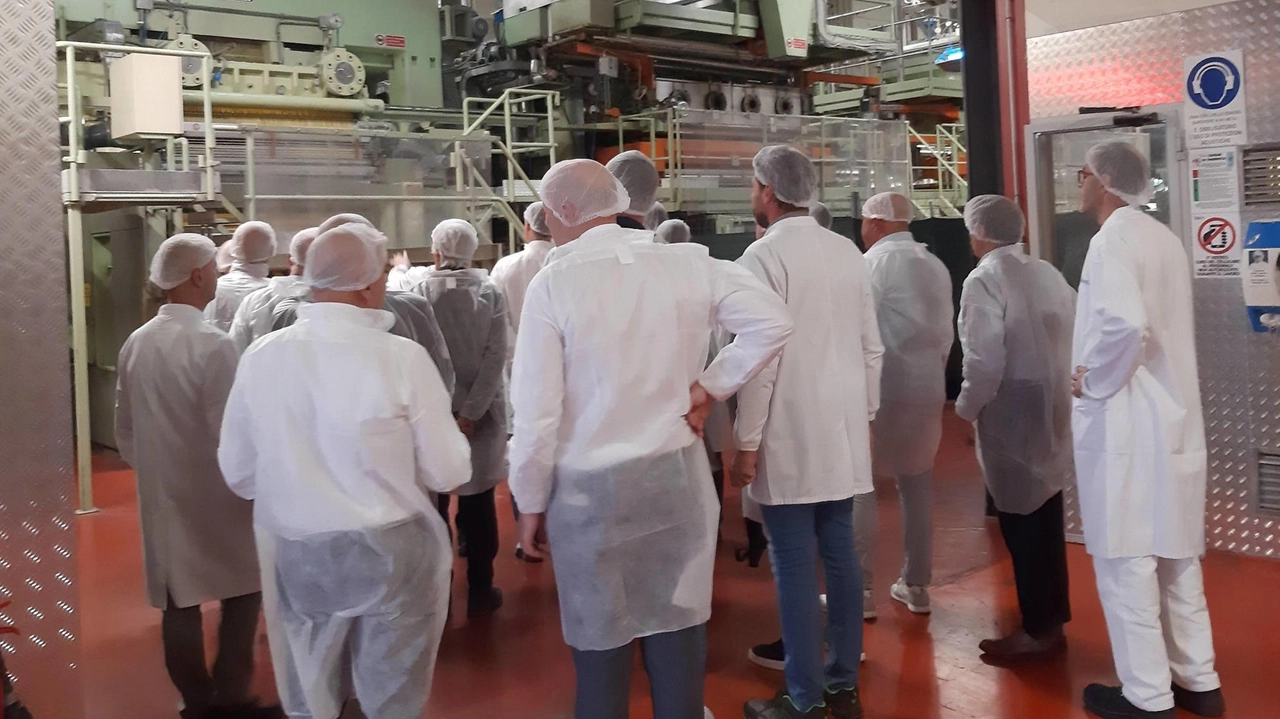 New Lat assume: il piano per questo 2025 prevede almeno 11 ingressi per quanto riguarda lo stabilimento di Sansepolcro tra operai e manutentori. Le figure richieste per un’azienda con numeri in crescita New Lat assume: il piano per questo 2025 prevede almeno 11 ingressi per quanto riguarda lo stabilimento di Sansepolcro tra operai e manutentori. Le figure richieste per un’azienda con numeri in crescita