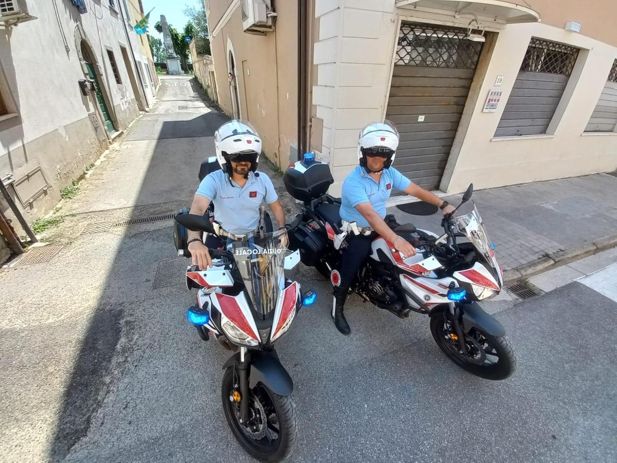 trovano due gattini gettati nella spazzatura denunciata una donna