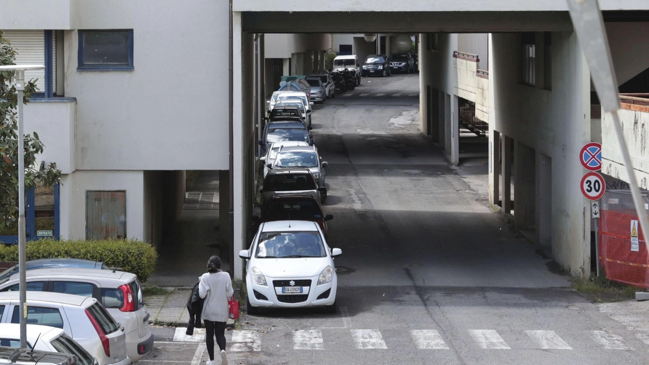 L’assessore ai Servizi sociali Papi: "Massimo impegno per promuovere l’accesso alla casa. Mano tesa ai giovani per incentivare la residenzialità in centro. Lotta allo spopolamento". L’assessore ai Servizi sociali Papi: "Massimo impegno per promuovere l’accesso alla casa. Mano tesa ai giovani per incentivare la residenzialità in centro. Lotta allo spopolamento".