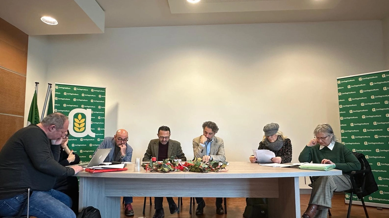 Siglato il contratto di lavoro degli operai agricoli e florovivaisti della provincia di Arezzo. Aumento del 6,4% del salario e... Siglato il contratto di lavoro degli operai agricoli e florovivaisti della provincia di Arezzo. Aumento del 6,4% del salario e...