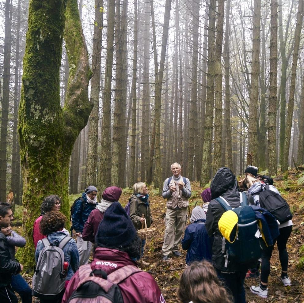 Funghi, passione e qualche insidia. Conoscerli e rispettare il bosco