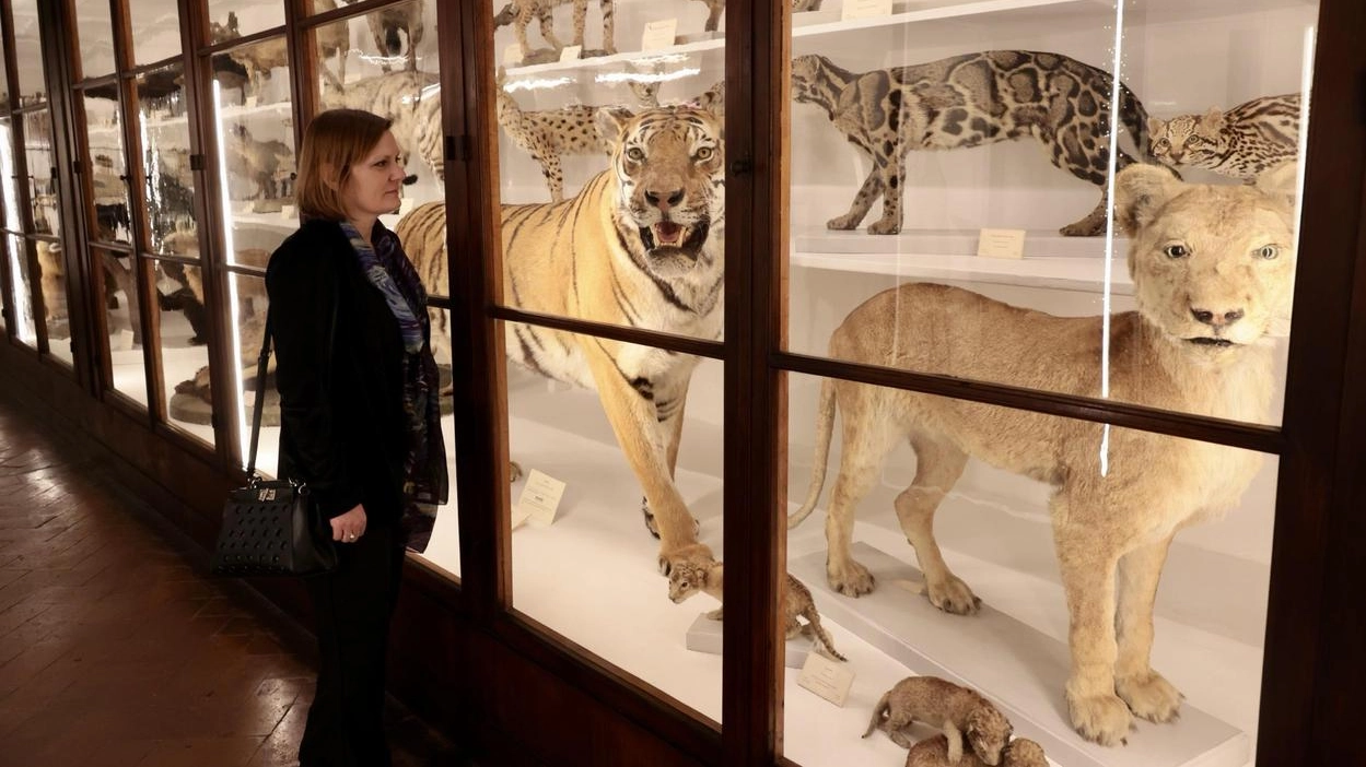 Il museo della Specola