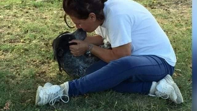 Cinzia Billeri è morta a causa di una grave malattia che non le ha lasciato scampo: in queste ore tantissimi amici la piangono e ne ricordano le doti Cinzia Billeri è morta a causa di una grave malattia che non le ha lasciato scampo: in queste ore tantissimi amici la piangono e ne ricordano le doti