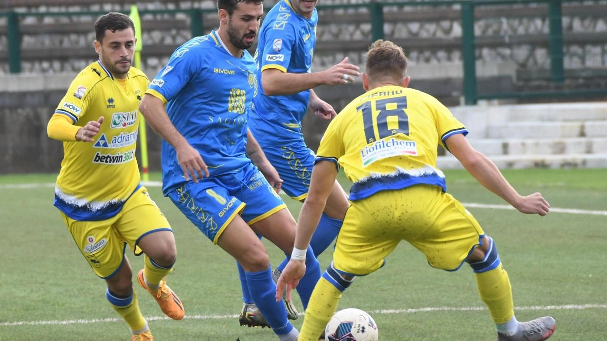 Dal Canto elogia la Carrarese e prepara la squadra per i prossimi scontri diretti. Palmieri si adatta al nuovo ruolo di regista.