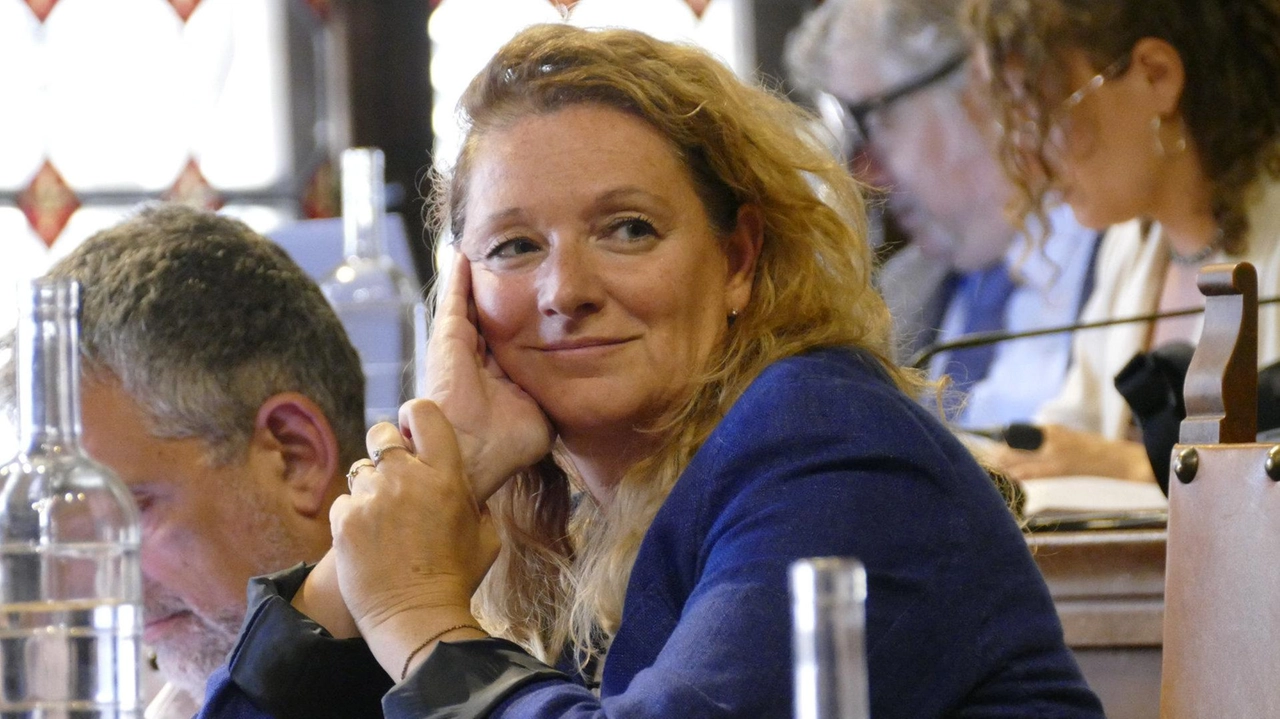 Per altri 10 giorni consiglieri comunali e assessori hanno la possibilità di lavorare per evitare la paralisi istituzionale. Decadono anche i rappresentanti in Provincia. Per altri 10 giorni consiglieri comunali e assessori hanno la possibilità di lavorare per evitare la paralisi istituzionale. Decadono anche i rappresentanti in Provincia.