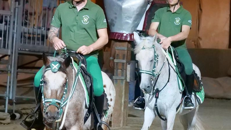 I vincitori dell’ultima edizione dopo il cambio di allenatore e cavalla infortunata "Un anno nuovo per l’arrivo dell’allenatore Formelli e più senso di coesione". I vincitori dell’ultima edizione dopo il cambio di allenatore e cavalla infortunata "Un anno nuovo per l’arrivo dell’allenatore Formelli e più senso di coesione".