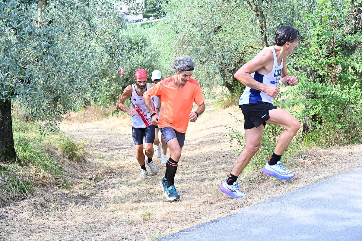 immagine di sfondo 38