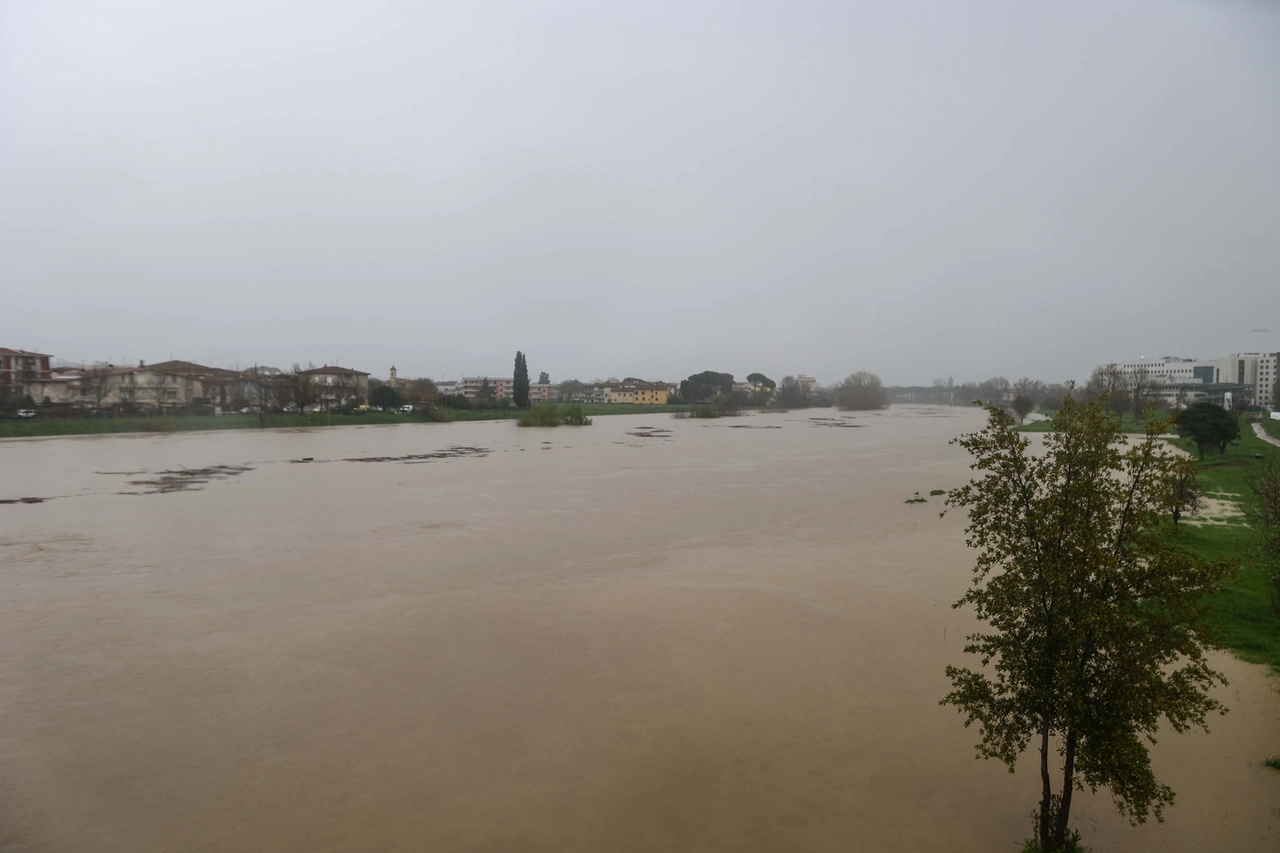 La piena dell'Arno a Empoli (Foto Tommaso Gasperini/Germogli)