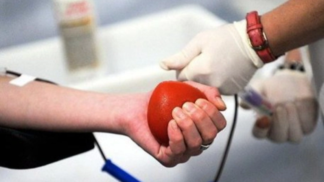 L’89 per cento arriva da iscritti ad associazioni, una delle percentuali più alta a livello nazionale. Nel 2023 in Toscana sono state superate le 206mila donazioni di sangue